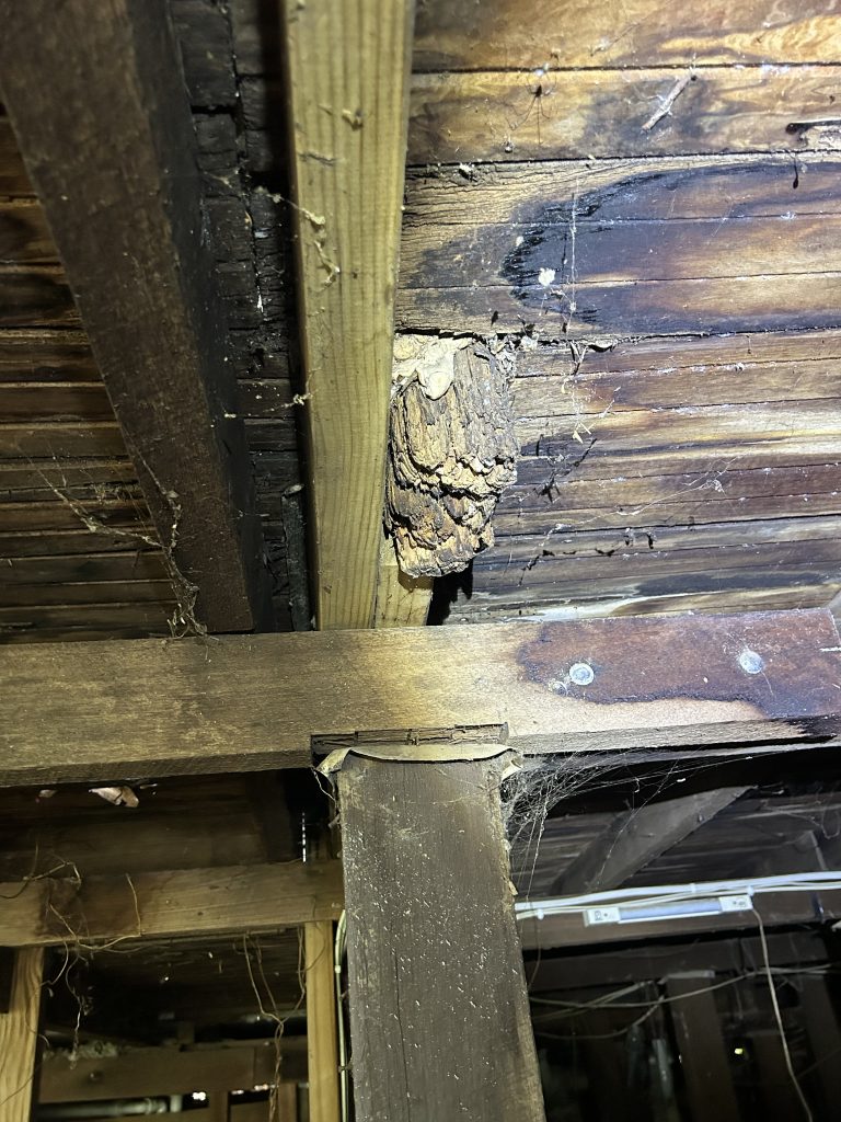 Pre-purchase building inspection Perth