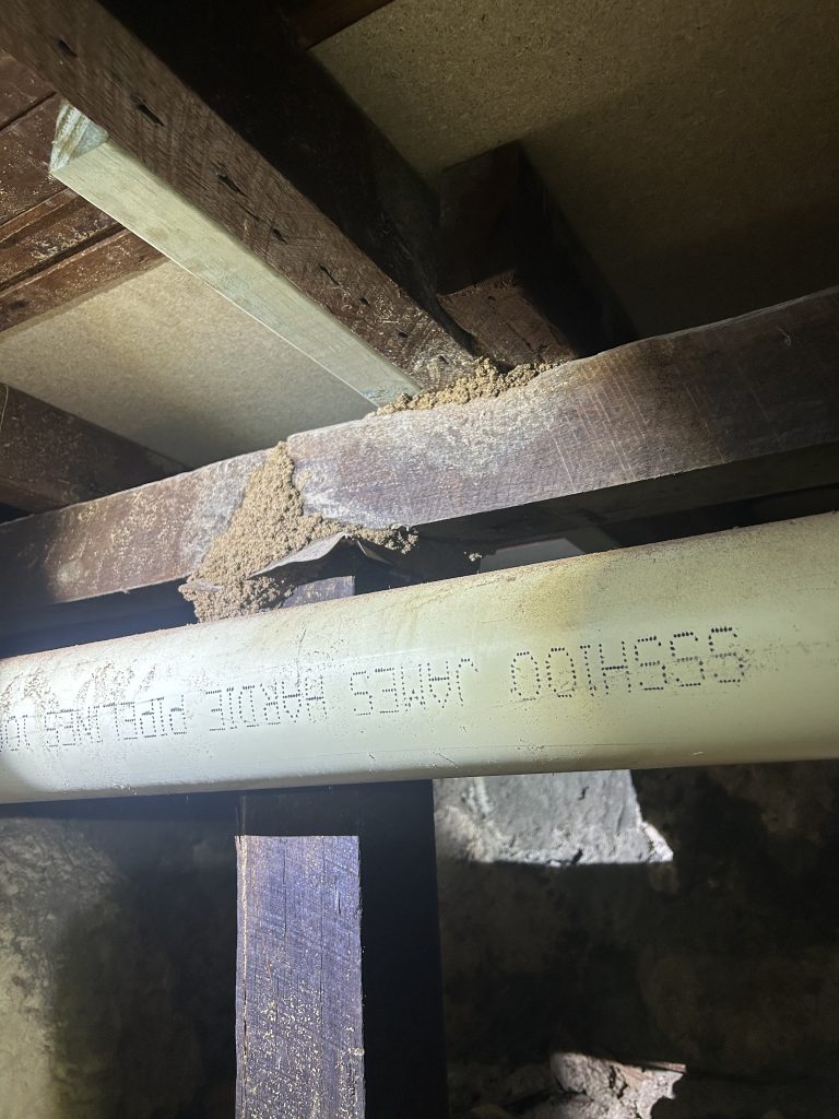 Building and pest inspection Perth